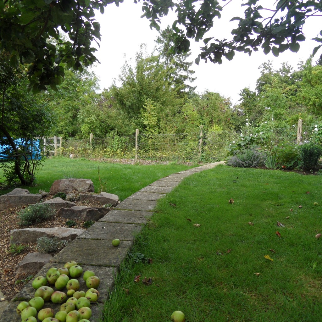  garden design bedfordshire